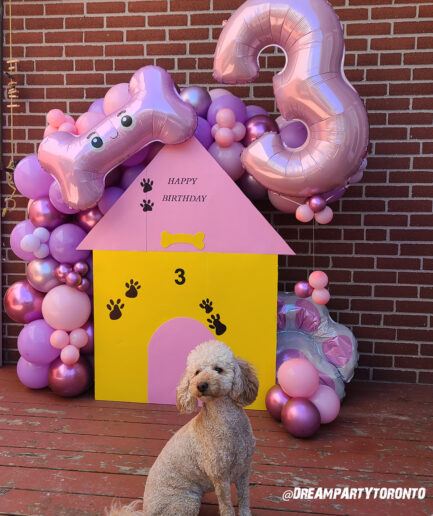 Dog's Birthday Decoration