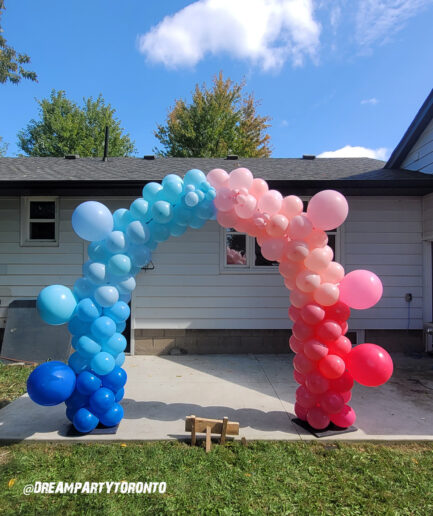 Gender Reveal Decoration